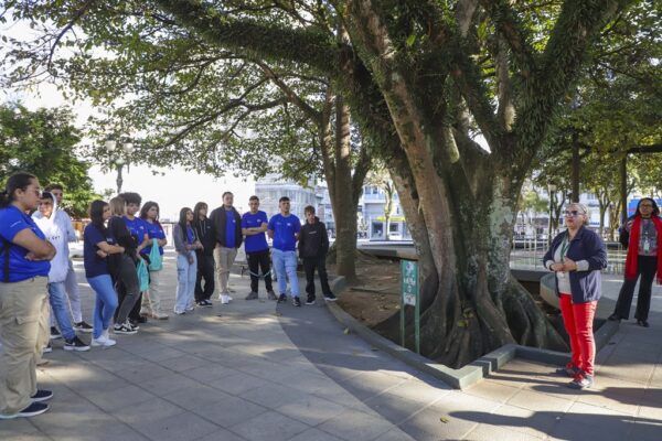 Iroko, Praça Tiradentes, Curitiba, Paraná