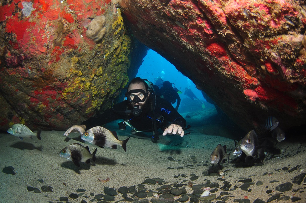 Mergulho Fernando de Noronha