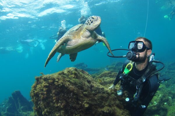 Mergulho Fernando de Noronha