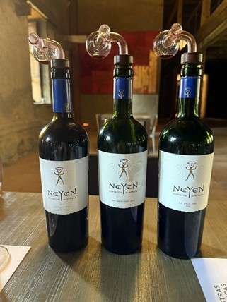 Neyen Espiritu de Apalta