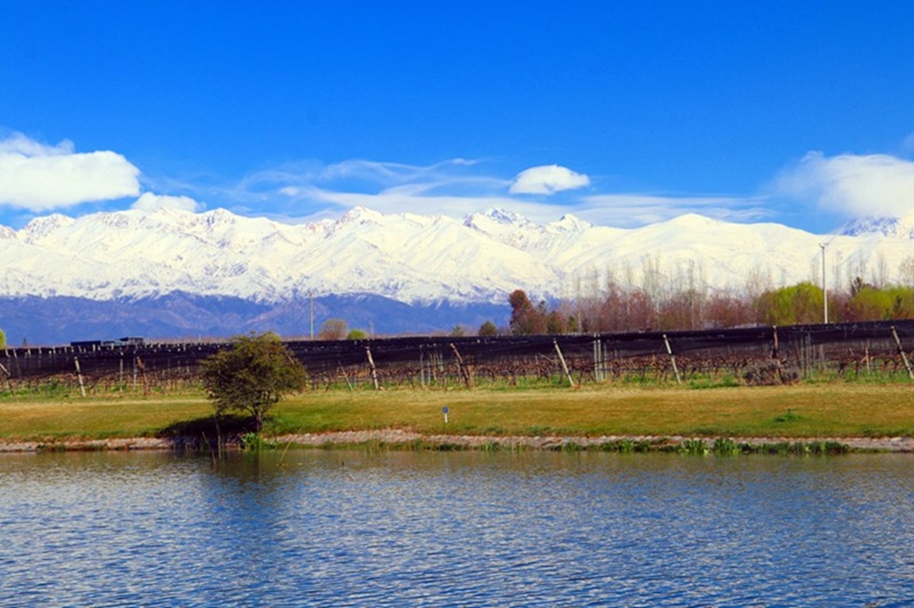 Bodega Domaine Bousquet Bodega Domaine Bousquet