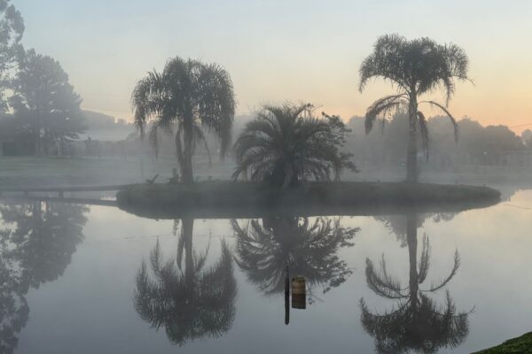 ão Luiz do Purunã, foto Pimenta Nativa