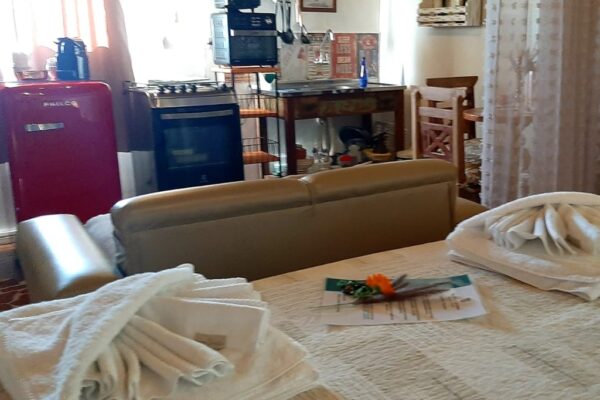 Studio in The Wood, Rancho Catarina, foto Alice Varajão