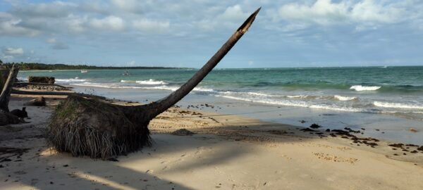 Praia de Ipioca, Maceió, Alagoas - foto Jean Luiz Féder - Now Boarding 