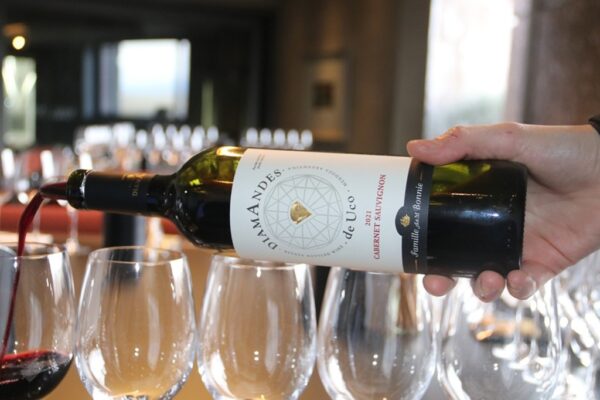 Cabernet Sauvignon 2021, Bodega DiamAndes