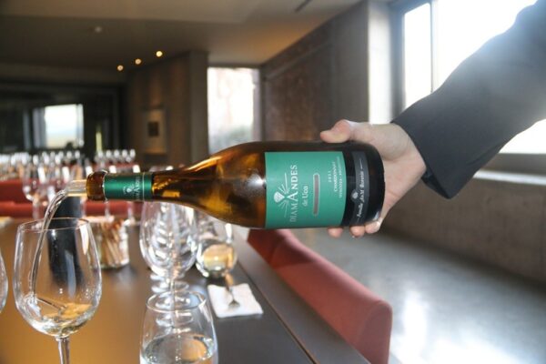 Chardonnay 2021, Bodega DiamAndes