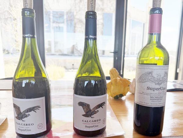 Degustação, Bodega SuperUco
