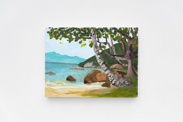 Ilha Grande, Luiz Zerbini