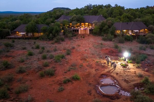 Madikwe Hills Private Game Lodge