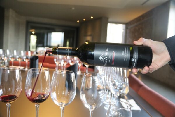 Malbec-Cabernet 2019, Bodega DiamAndes