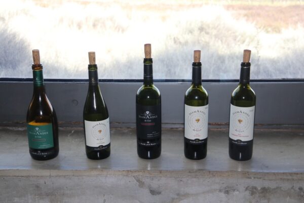 Vinhos Bodega DiamAndes