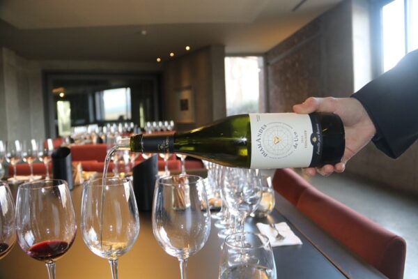 Viognier 2022, Bodega DiamAndes