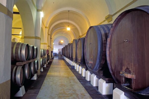 Adega da Cartuxa, Évora, Alentejo, Portugal