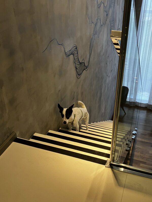 Suryaa Curio Collection, Pinhais - Paraná