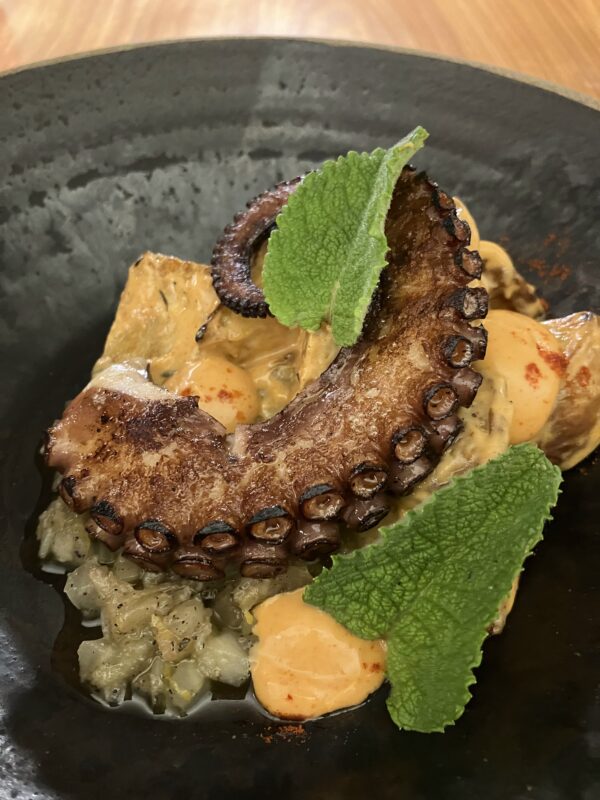 Suryaa Curio Collection, Pinhais - Paraná