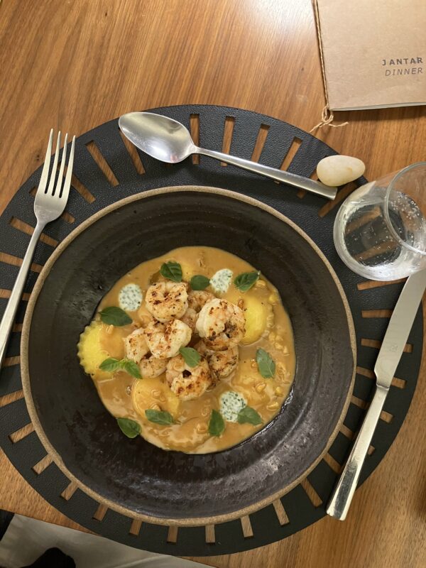 Suryaa Curio Collection, Pinhais - Paraná