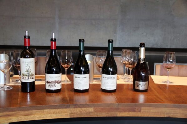 Os vinhos degustados, Zuccardi Piedra Infinita