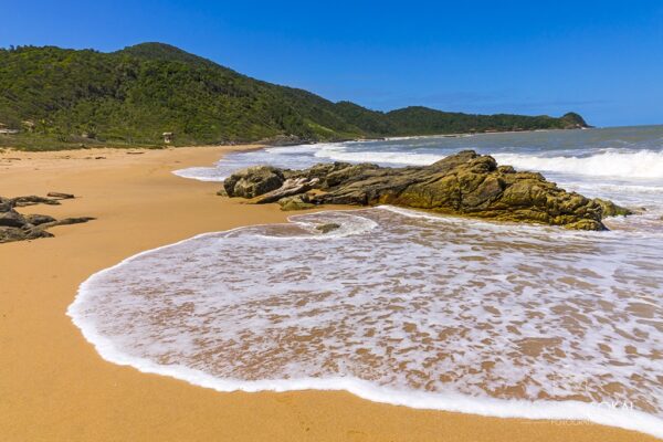 Praia Vermelha, Penha, Santa Catarina