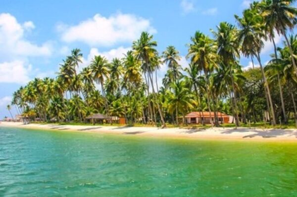 Praia dos Carneiros, Pernambuco