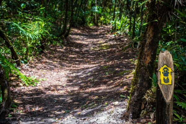 Trilha do Ararapira, Parque Nacional do Superagui, Paraná