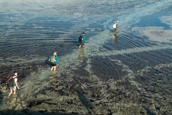 Lagoa, Travessia Lençóis Maranhenses