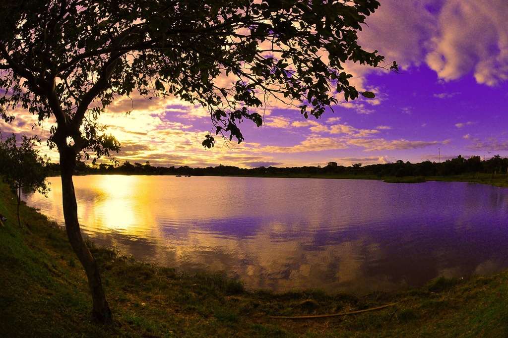 Parque Antenor Martins, Dourados, Mato Grosso do Sul Parque Antenor Martins, Dourados, Mato Grosso do Sul