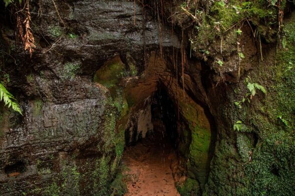 Expedição Vinotoca, Vinícola Almadén