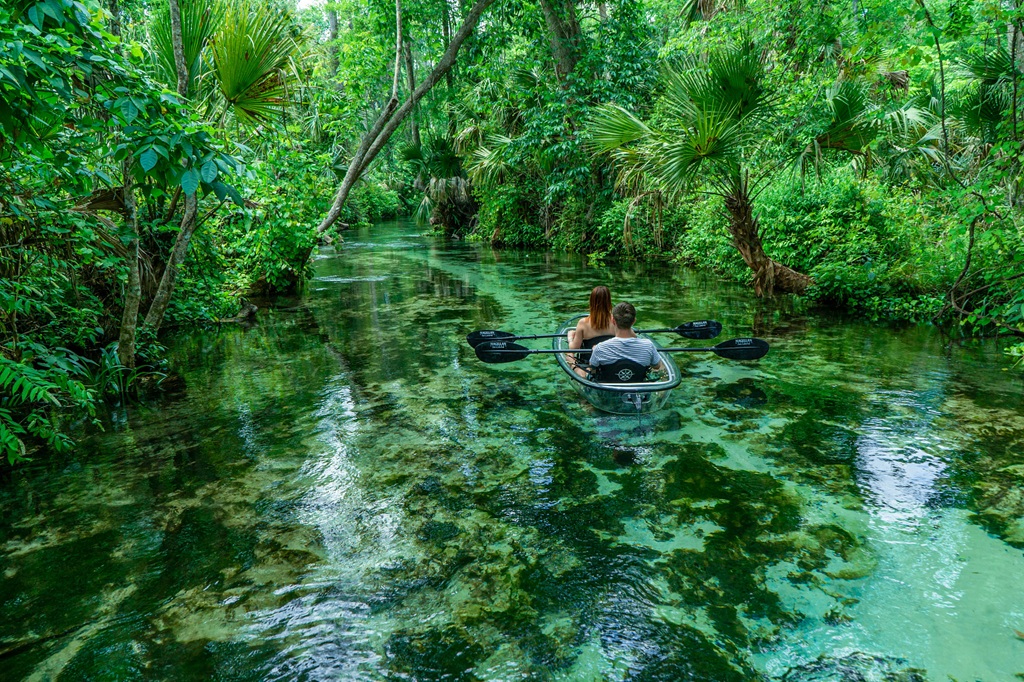 Get up and go kayaking