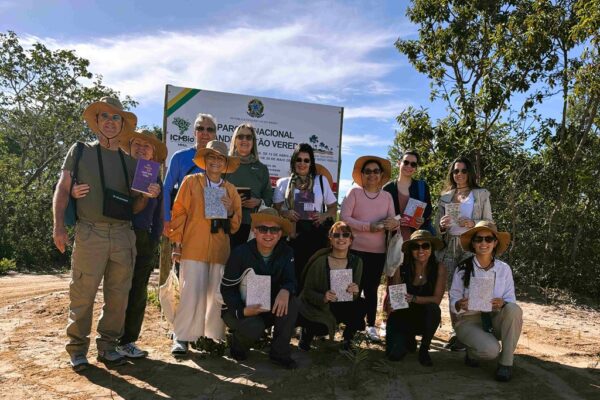 Grande Sertão Veredas, NomadRoots