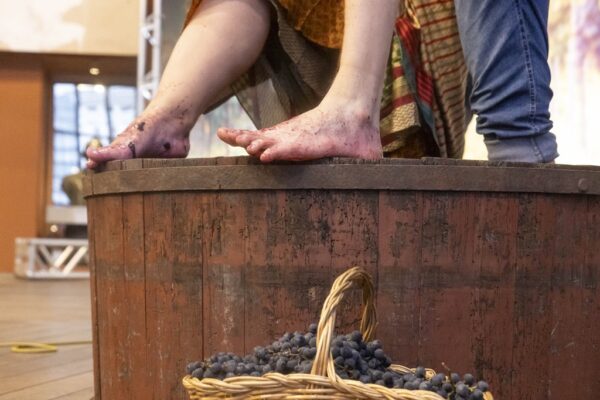 Pisa, Rota da Uva & Vinho Paraná