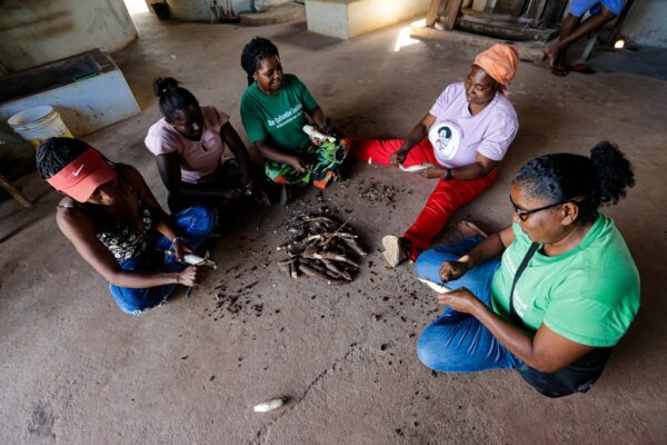 Quilombo Caiana dos Crioulos, Alagoa Grande, Paraíba