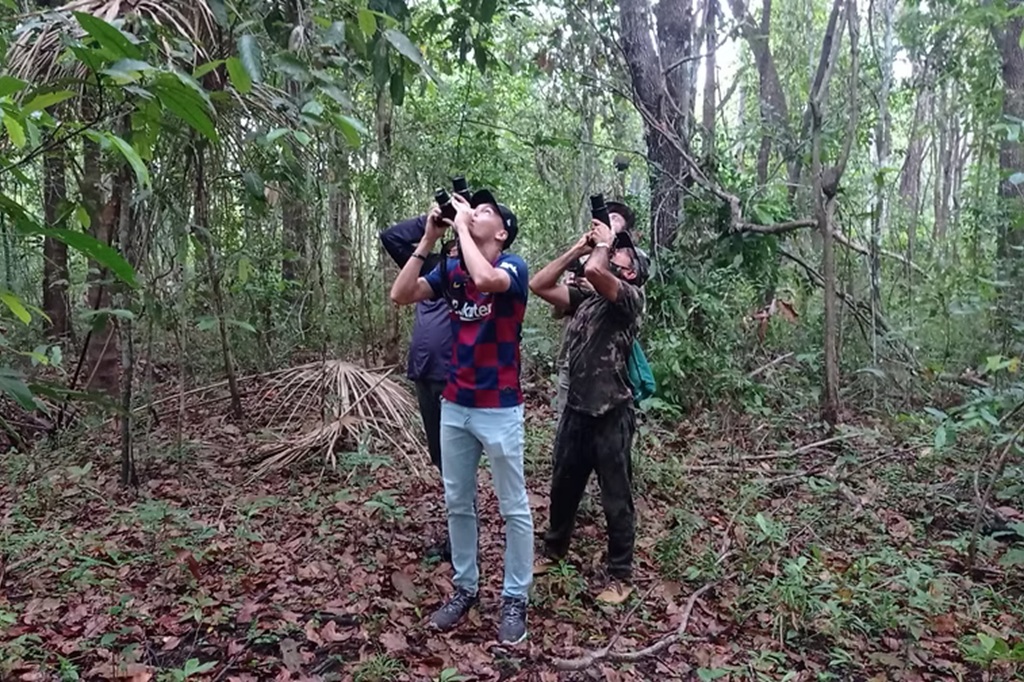 Bora Passsarinhar Bora Passsarinhar