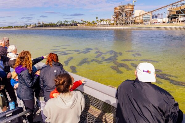 Teco Manatee Viewing Center