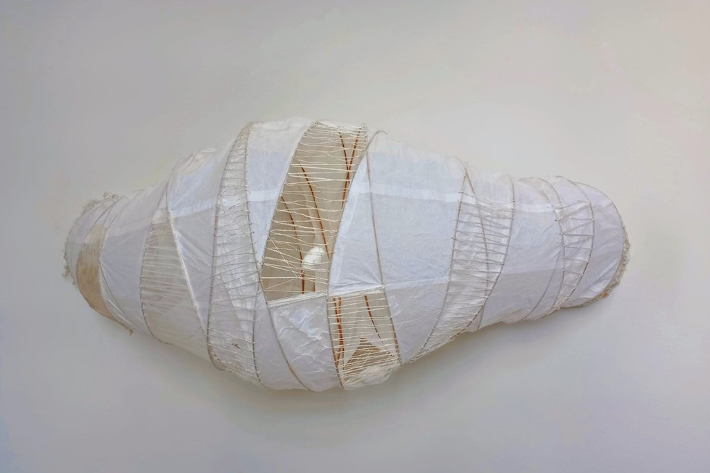 Bicho metamórfico, Valdir Francisco