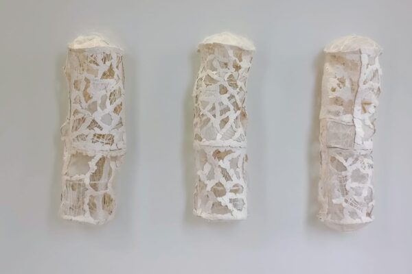 Casulos Rendados, Valdir Francisco