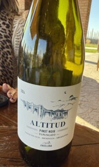 Altitud Pinot Noir 2024