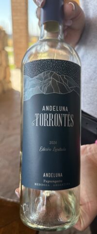 Andeluna Torrontés 2024 – Edición Limitada