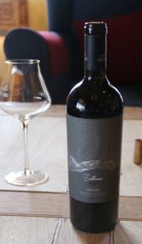 Emblema Malbec 2020