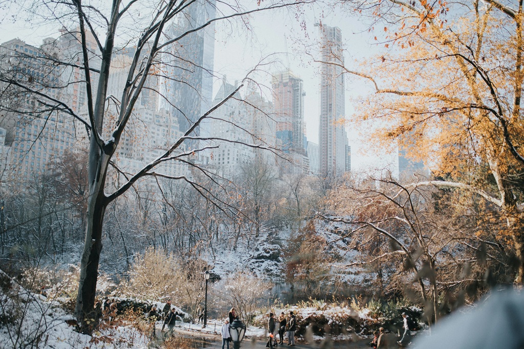 Inverno, Nova York, Estados Unidos
