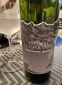 Angaco La Esperanza-Syrah 2023
