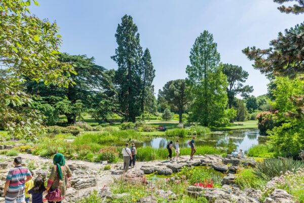 Jardim Botânico da Universidade de Cambridge, Cambridge, Inglaterra