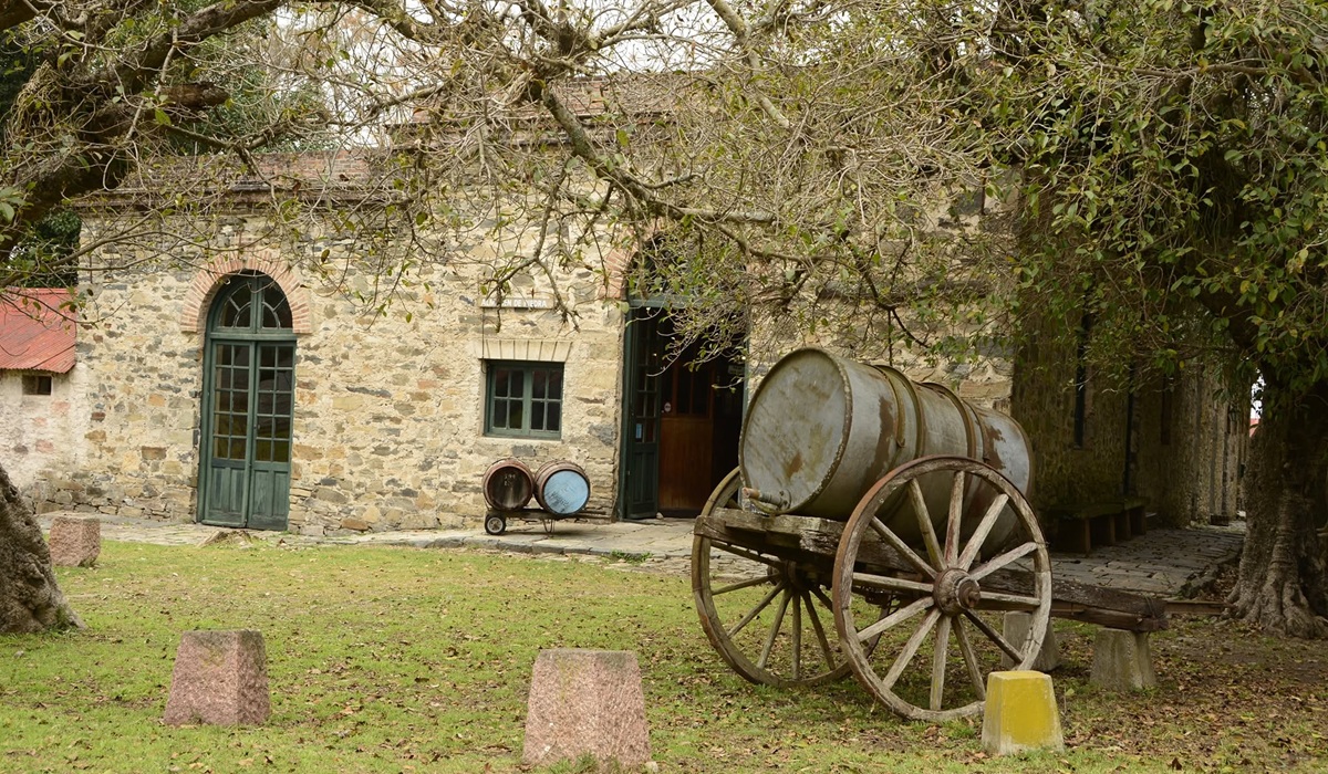 Bodega Los Cerros de San Juan