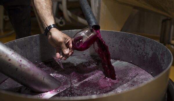 Vinho Uruguai
