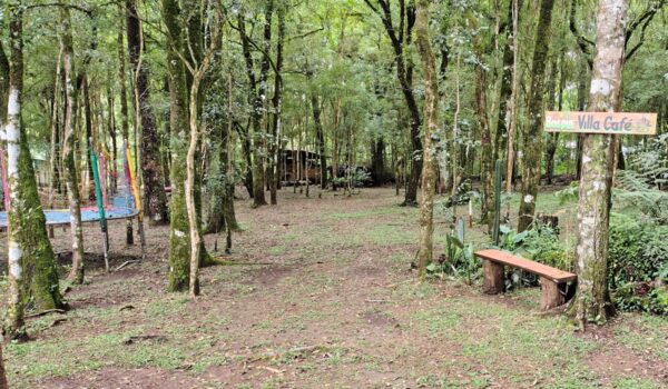 Bosque Villa Café