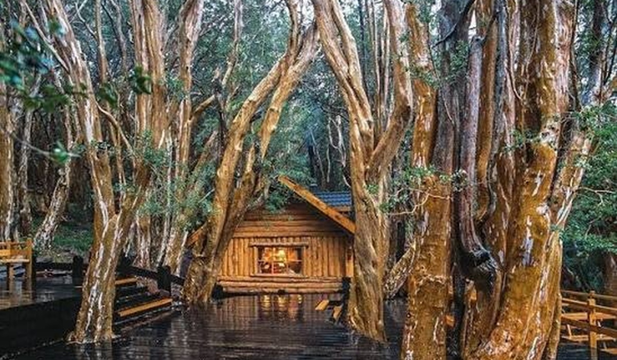 Cabaña de Disney, Bosque dos Arrayanes, Neuquén, Argentina
