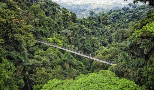 Mistico Arenal Hanging Bridges Park