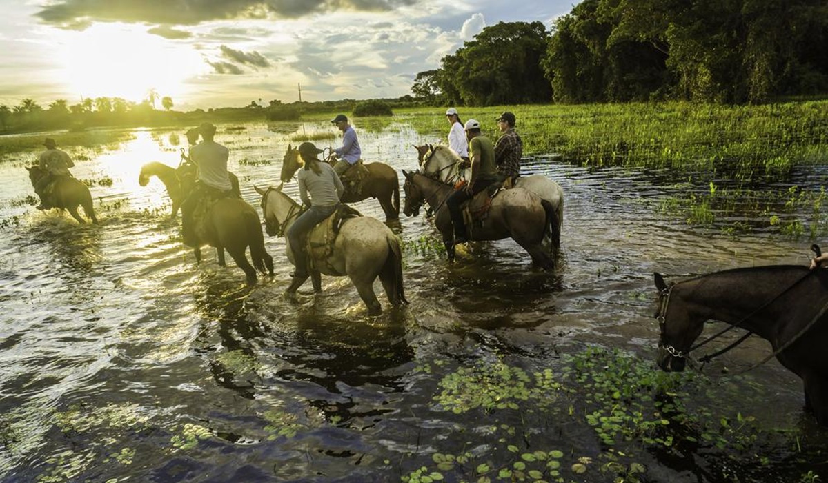 Pantanal