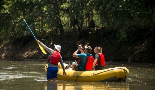 Passeio bote, observação aves e animais, Costa Rica