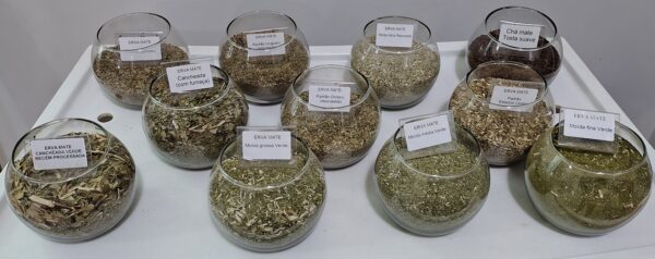 Tipos de erva-mate. Erva-Mate Canoinhas