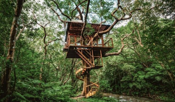 Treeful Treehouse Sustainable Resort